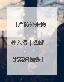 严防外来物种入侵｜西部黑寡妇蜘蛛